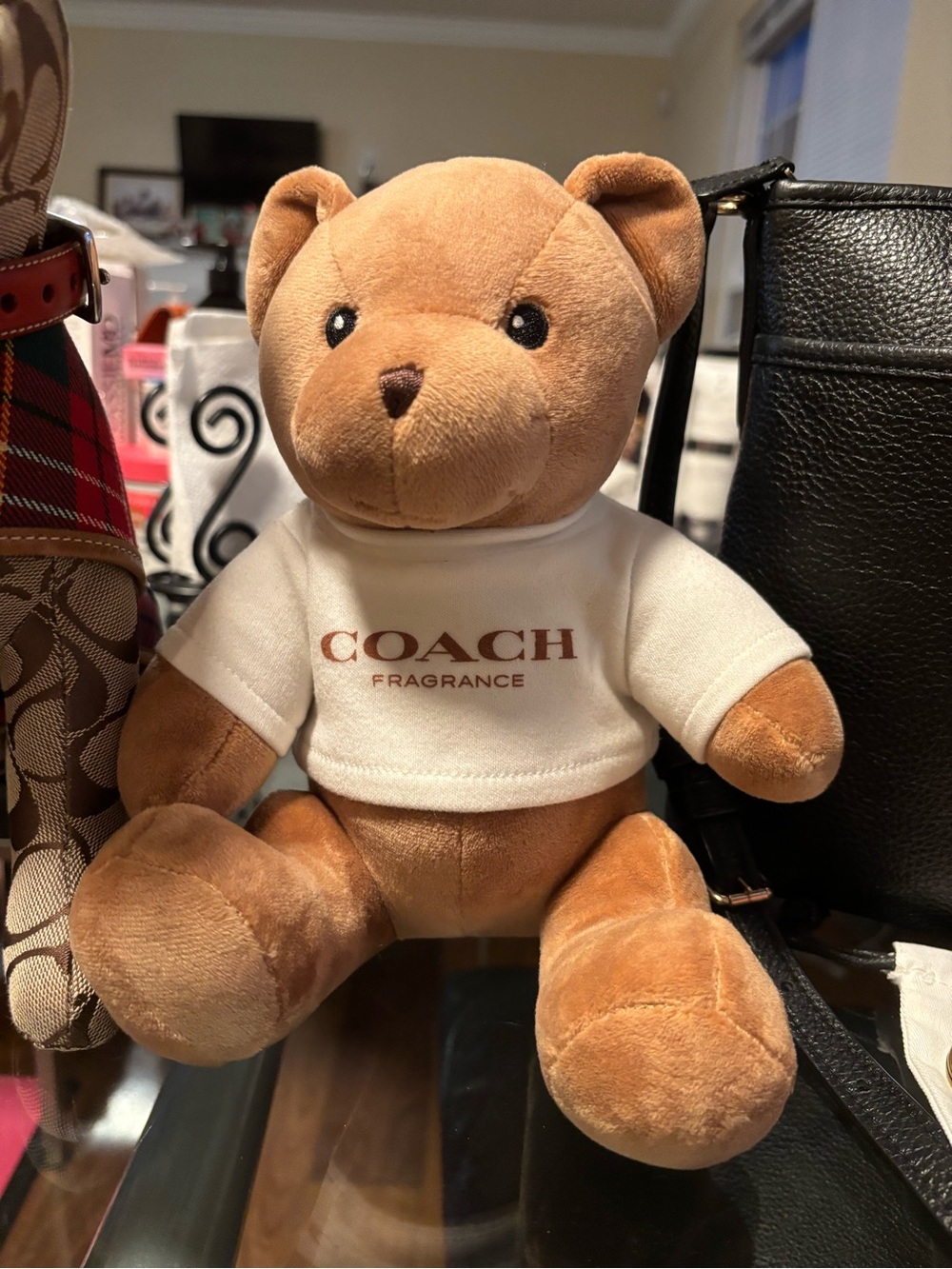 CATCH THE COACH AND SOLEIL EVENT!!! - Picture 11 of 16